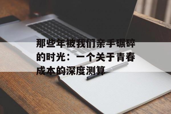 那些年被我们亲手碾碎的时光：一个关于青春成本的深度测算-第1张图片-
