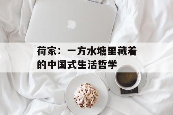 荷家：一方水塘里藏着的中国式生活哲学-第1张图片-