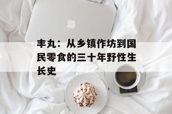 丰丸:从乡镇作坊到国民零食的三十年野性生长史-第1张图片- 丰丸:从乡镇作坊到国民零食的三十年野性生长史-第1张图片-