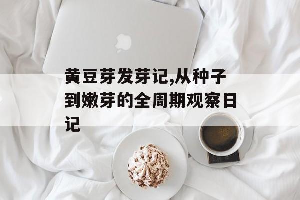 黄豆芽发芽记,从种子到嫩芽的全周期观察日记-第1张图片-