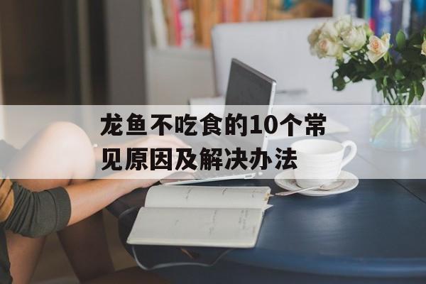 龙鱼不吃食的10个常见原因及解决办法-第1张图片-