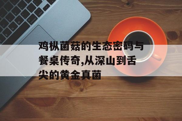 鸡枞菌菇的生态密码与餐桌传奇,从深山到舌尖的黄金真菌-第1张图片-