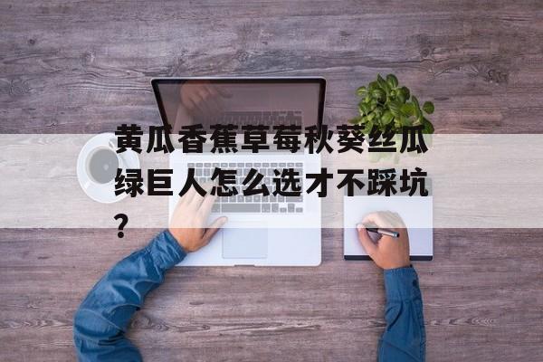 黄瓜香蕉草莓秋葵丝瓜绿巨人怎么选才不踩坑?-第1张图片- 黄瓜香蕉草莓秋葵丝瓜绿巨人怎么选才不踩坑?-第1张图片-