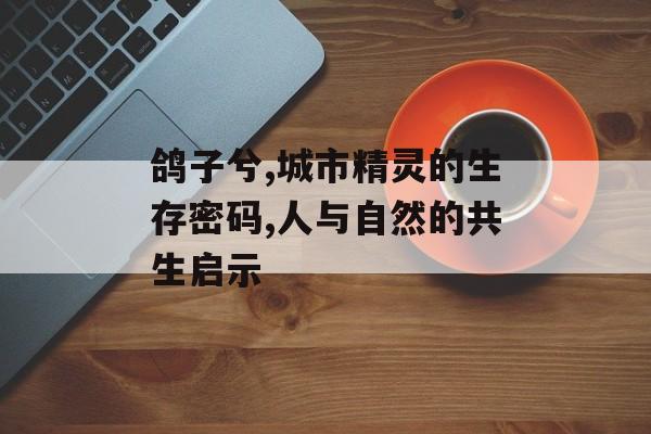 鸽子兮,城市精灵的生存密码,人与自然的共生启示-第1张图片-