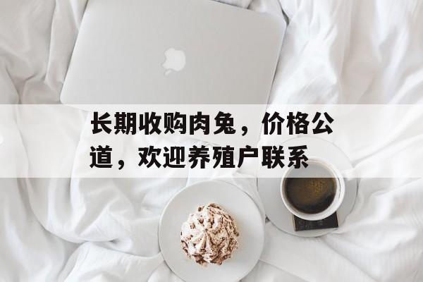 长期收购肉兔，价格公道，欢迎养殖户联系-第1张图片-