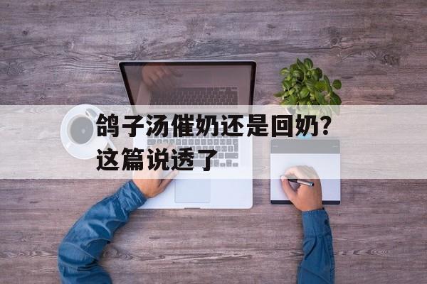 鸽子汤催奶还是回奶？这篇说透了-第1张图片-