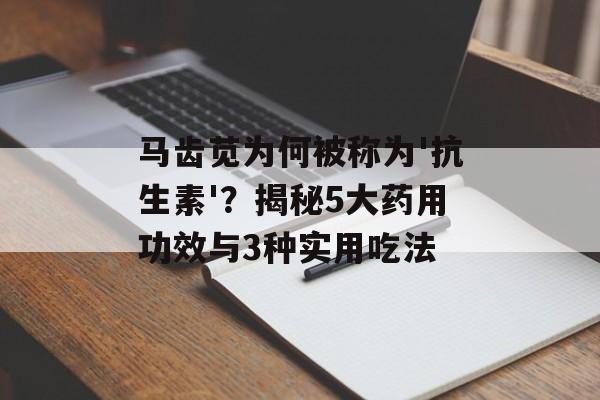 马齿苋为何被称为'抗生素'？揭秘5大药用功效与3种实用吃法-第1张图片-