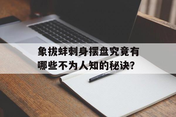 象拔蚌刺身摆盘究竟有哪些不为人知的秘诀？-第1张图片-