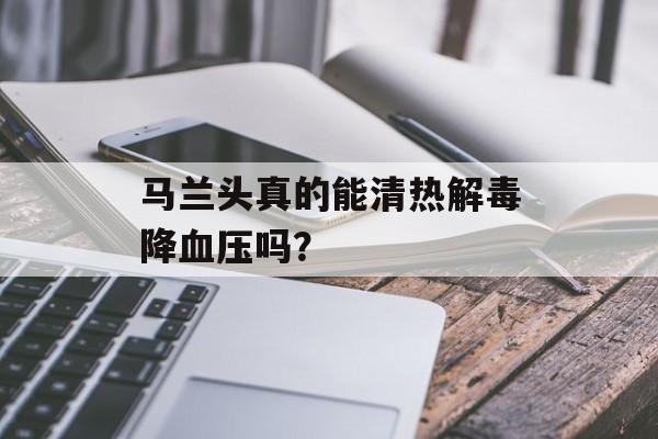 马兰头真的能清热解毒降血压吗？-第1张图片-