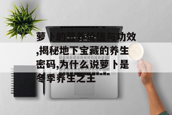萝卜的营养价值与功效,揭秘地下宝藏的养生密码,为什么说萝卜是冬季养生之王-第1张图片-