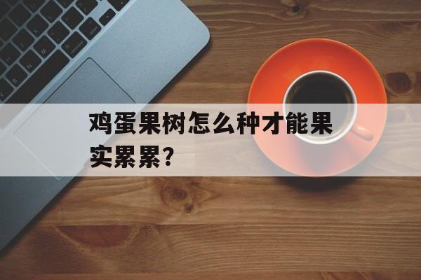 鸡蛋果树怎么种才能果实累累？-第1张图片-