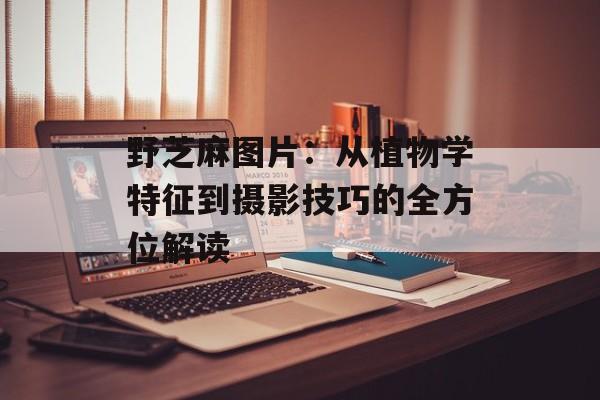 野芝麻图片：从植物学特征到摄影技巧的全方位解读-第1张图片-