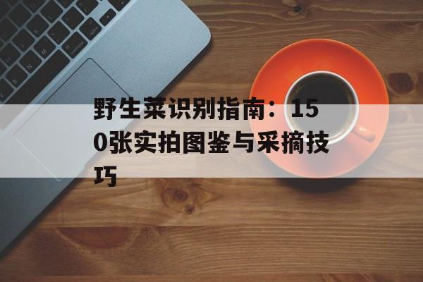 野生菜识别指南：150张实拍图鉴与采摘技巧-第1张图片-