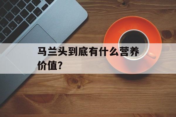 马兰头到底有什么营养价值？-第1张图片-