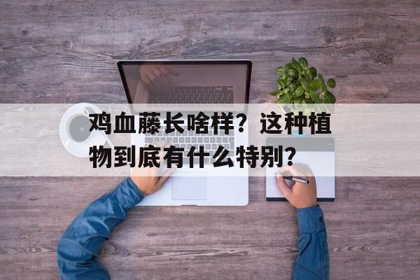 鸡血藤长啥样？这种植物到底有什么特别？-第1张图片-