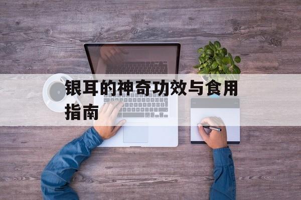 银耳的神奇功效与食用指南-第1张图片-