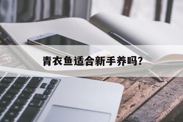 青衣鱼适合新手养吗？-第1张图片-