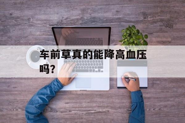车前草真的能降高血压吗？-第1张图片-