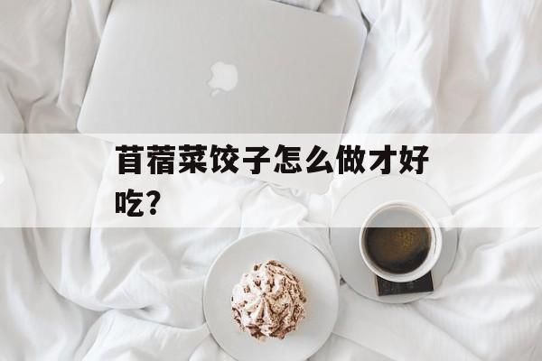 苜蓿菜饺子怎么做才好吃？-第1张图片-