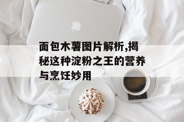 面包木薯图片解析,揭秘这种淀粉之王的营养与烹饪妙用-第1张图片-