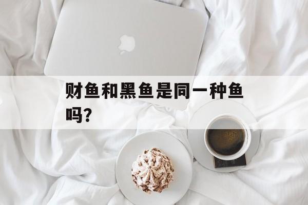 财鱼和黑鱼是同一种鱼吗？-第1张图片-