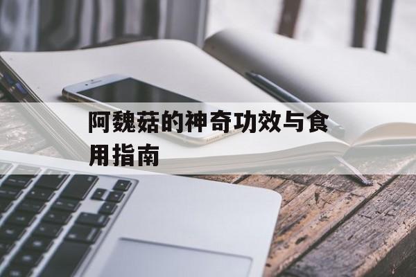 阿魏菇的神奇功效与食用指南-第1张图片-