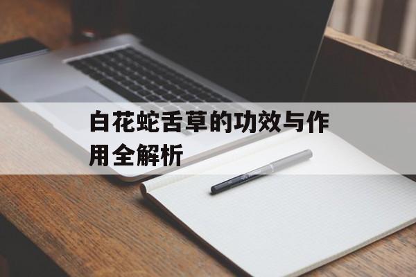 白花蛇舌草的功效与作用全解析-第1张图片-