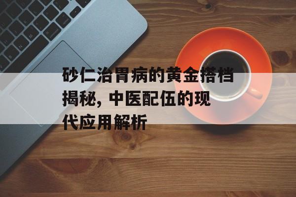 砂仁治胃病的黄金搭档揭秘, 中医配伍的现代应用解析-第1张图片-