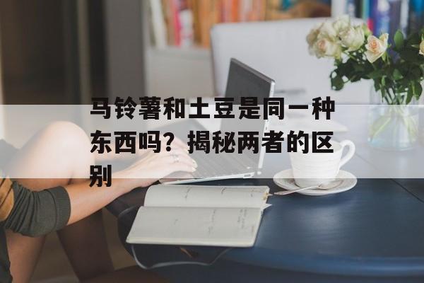 马铃薯和土豆是同一种东西吗？揭秘两者的区别-第1张图片-