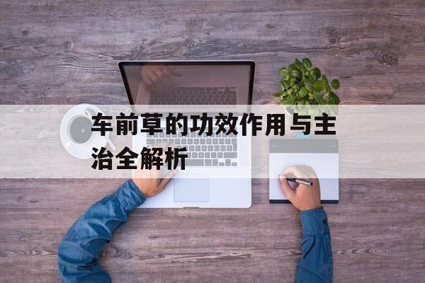 车前草的功效作用与主治全解析-第1张图片-