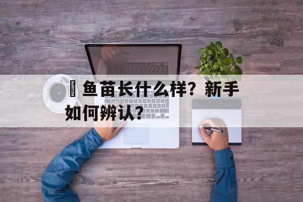 鳡鱼苗长什么样？新手如何辨认？-第1张图片-