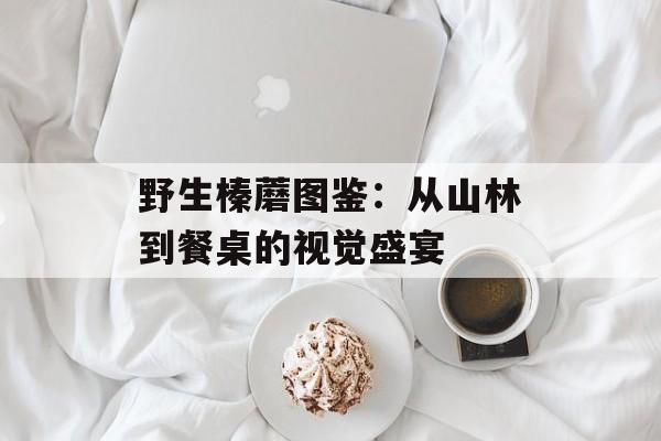 野生榛蘑图鉴：从山林到餐桌的视觉盛宴-第1张图片-