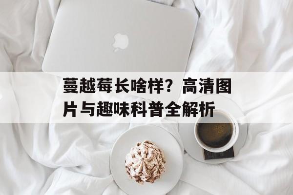 蔓越莓长啥样？高清图片与趣味科普全解析-第1张图片-