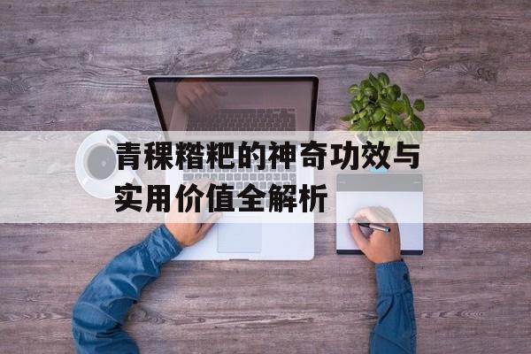 青稞糌粑的神奇功效与实用价值全解析-第1张图片-