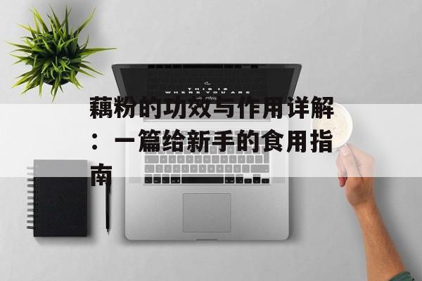 藕粉的功效与作用详解：一篇给新手的食用指南-第1张图片-