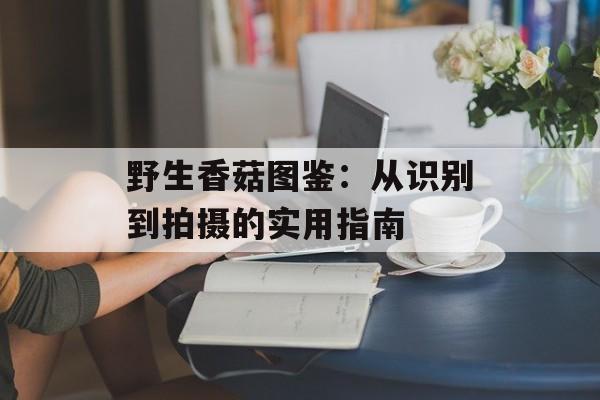 野生香菇图鉴：从识别到拍摄的实用指南-第1张图片-