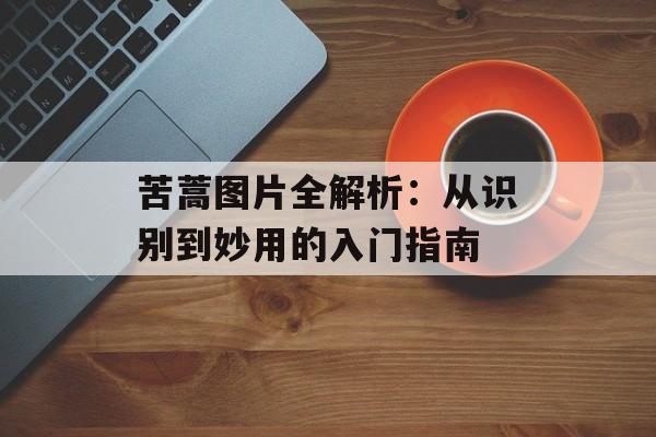 苦蒿图片全解析：从识别到妙用的入门指南-第1张图片-