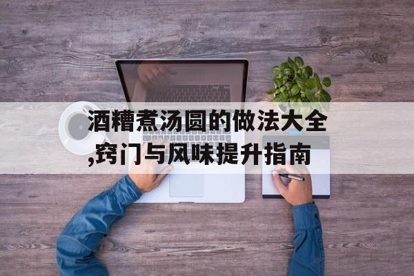 酒糟煮汤圆的做法大全,窍门与风味提升指南-第1张图片- 酒糟煮汤圆的做法大全,窍门与风味提升指南-第1张图片-