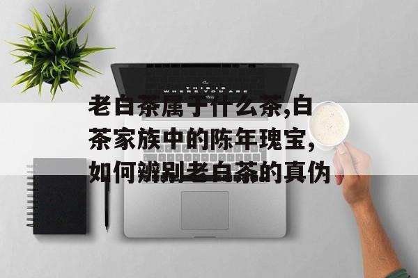 老白茶属于什么茶,白茶家族中的陈年瑰宝,如何辨别老白茶的真伪-第1张图片-