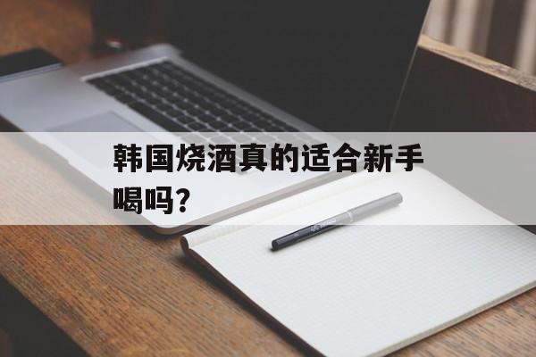 韩国烧酒真的适合新手喝吗？-第1张图片-