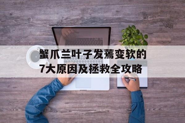 蟹爪兰叶子发蔫变软的7大原因及拯救全攻略-第1张图片-