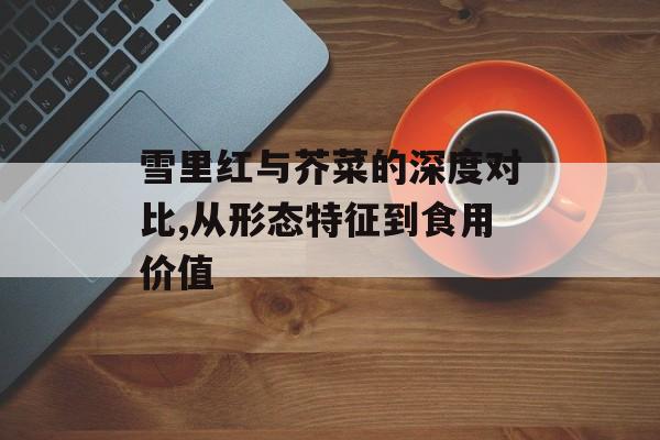 雪里红与芥菜的深度对比,从形态特征到食用价值-第1张图片- 雪里红与芥菜的深度对比,从形态特征到食用价值-第1张图片-