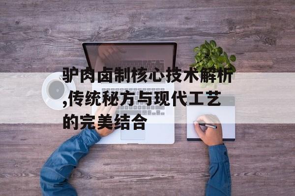 驴肉卤制核心技术解析,传统秘方与现代工艺的完美结合-第1张图片- 驴肉卤制核心技术解析,传统秘方与现代工艺的完美结合-第1张图片-