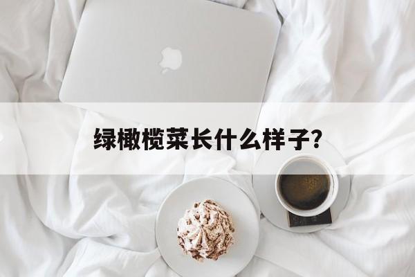 绿橄榄菜长什么样子？-第1张图片-