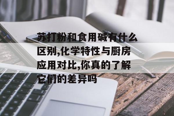 苏打粉和食用碱有什么区别,化学特性与厨房应用对比,你真的了解它们的差异吗-第1张图片-