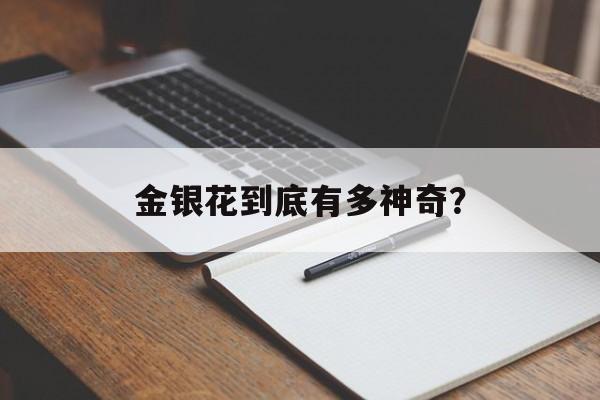 金银花到底有多神奇？-第1张图片-