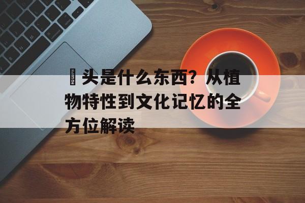 藠头是什么东西？从植物特性到文化记忆的全方位解读-第1张图片-