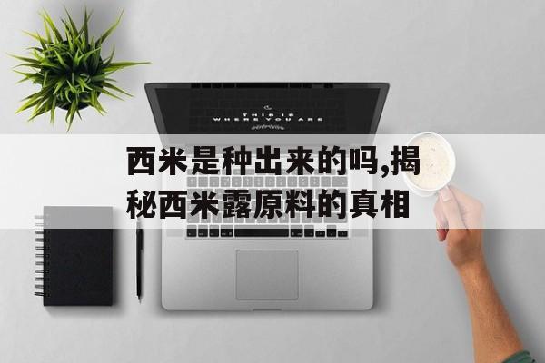 西米是种出来的吗,揭秘西米露原料的真相-第1张图片-