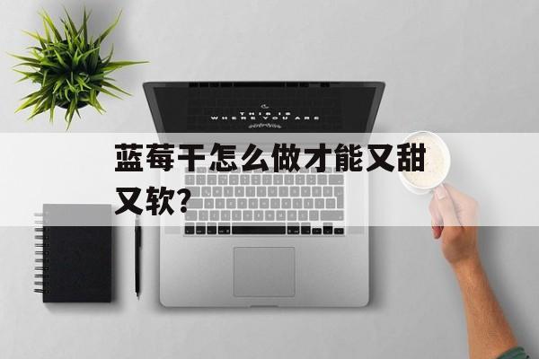 蓝莓干怎么做才能又甜又软？-第1张图片-