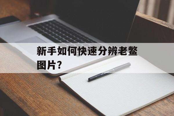 新手如何快速分辨老鳖图片？-第1张图片-